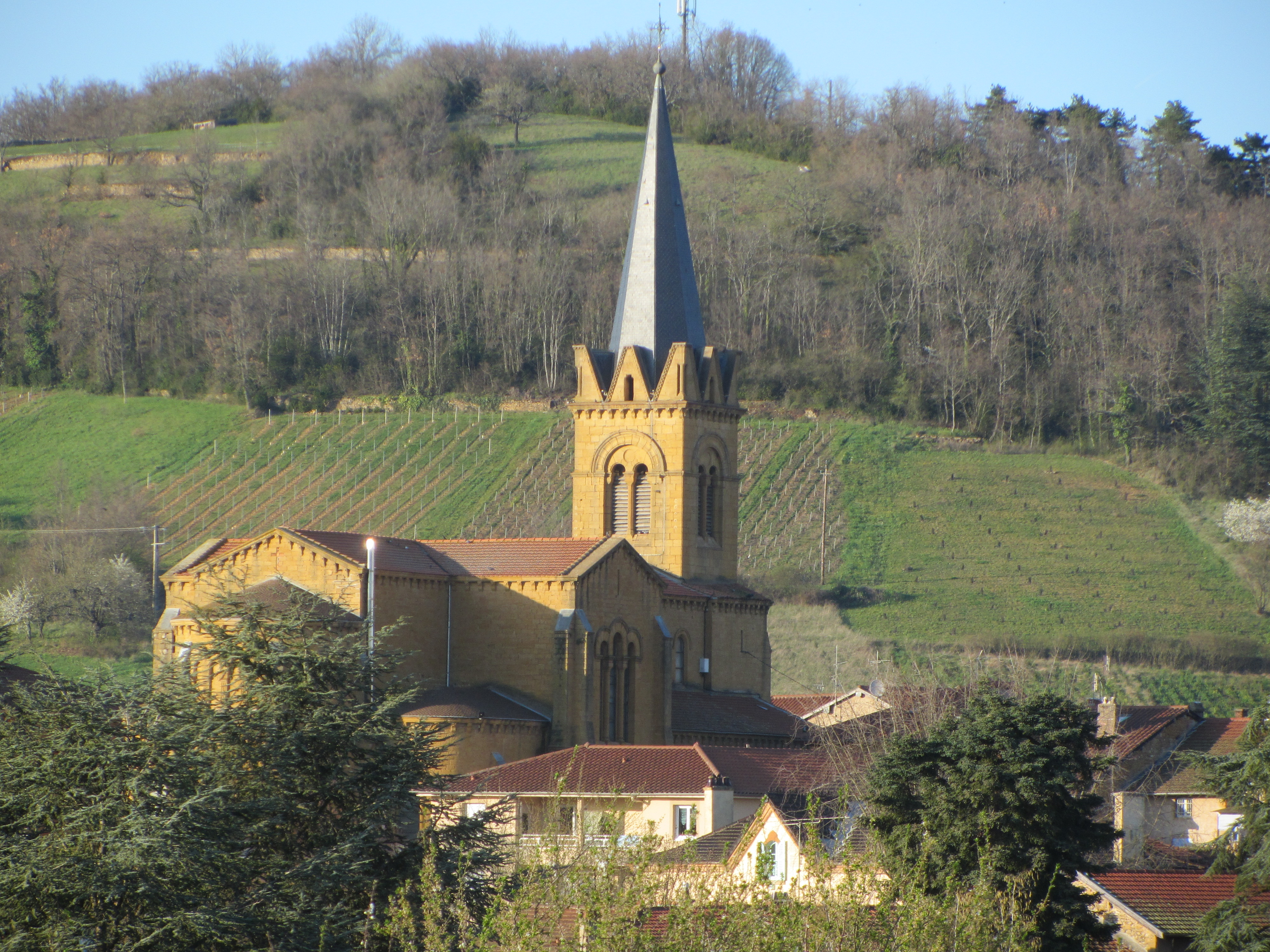 Bois d'Oingt, église 1868